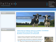 Tablet Screenshot of falloons.co.nz